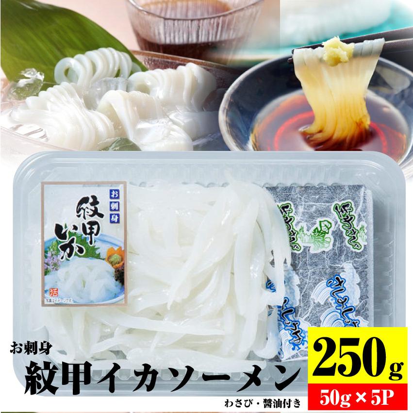 お刺身 紋甲イカソーメン 5個セット50g×5 わさび 醤油付き 魚 刺身 いか いかそうめん おかず