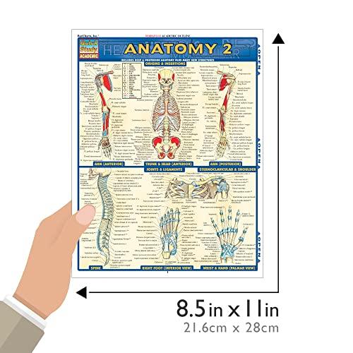 Anatomy (Quick Study Academic)