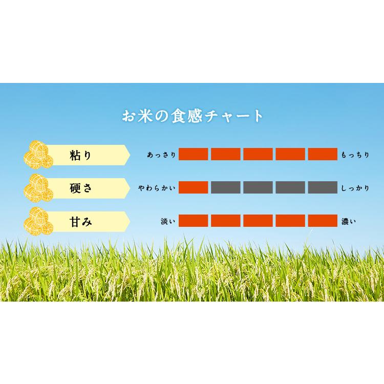 お米 ギフト もち米 10kg 新大正糯 富山県産 富山県産新大正もち米 10キロ 国産 令和5年産 新米 精米 白米 もちごめ お正月 雑煮 餅 おもち 赤飯 おこわ