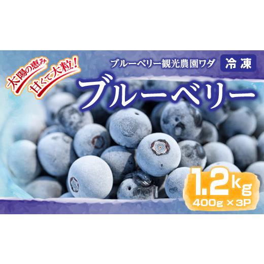 ふるさと納税 鹿児島県 鹿屋市 141-2 冷凍ブルーベリー 1.2kg［400g×3P］