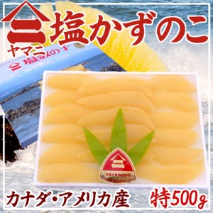 北海道 井原水産 ”ヤマニ 塩数の子” 特500g カナダ・アメリカ産 塩かずのこ 送料無料