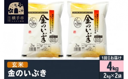 令和5年産 金のいぶき 4kg(2kg×2袋)