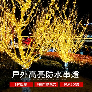 【24H現貨】30米300燈24V低壓LED彩燈 閃燈 串燈 滿天星戶外防水裝飾燈 聖誕裝飾燈 插電款 免運