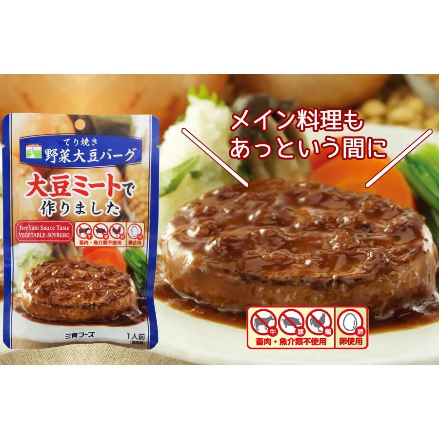 レトルト食品 てり焼き 野菜大豆バーグ  100g 三育フーズ惣菜 ノンコレステロール ベジタリアン