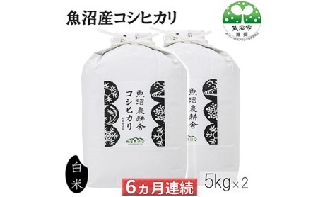 定期便 6ヶ月 連続お届け 魚沼産コシヒカリ（精米）10kg