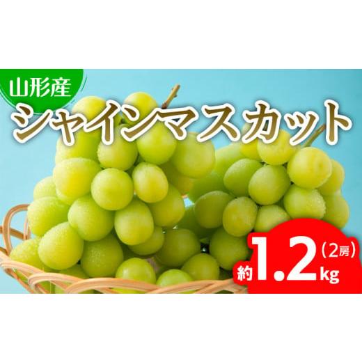 ふるさと納税 山形県 山形市 ぷりぷりのシャインマスカット 2房 約1.2kg(1房500g〜700g) FU22-743