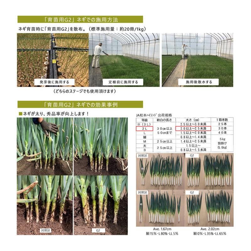 4袋 微生物土壌改良材 育苗用G2 5kg 松本微生物研究所 VA菌根菌 肥料