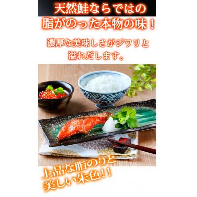 ふるさと納税 由良町 和歌山魚鶴仕込の天然紅サケ切身約2kg(由良町)