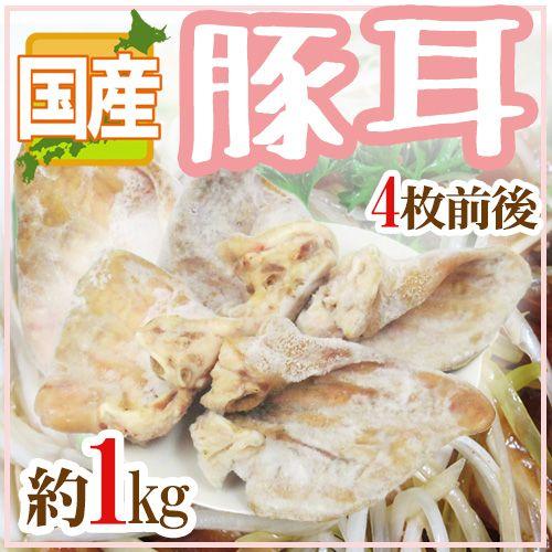 国産 ”豚耳” 4枚前後 約1kg ミミガー