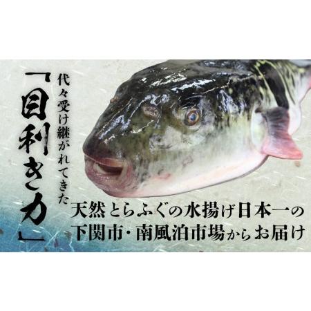 ふるさと納税  とらふぐ刺身＆ふぐちり＆唐揚げ フルコース セット 4〜5人前 冷凍 下関 国産養殖とらふぐ 国産天然まふぐ 関門ふ.. 山口県下関市