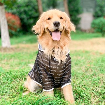 狗狗衣服防曬服夏季薄款金毛邊牧夏天透氣戶外衣寵物中大型犬夏裝
