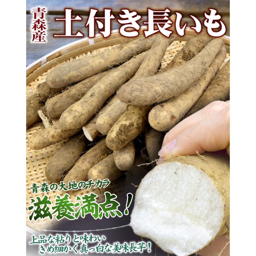 長いも 2.5kg 土付き長いも 青森産 500g×5袋 規格外 切れ子 送料無料 食品