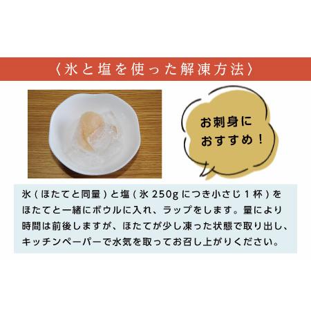 ふるさと納税 ほたて600g・辛子明太子250g B-16060 北海道根室市