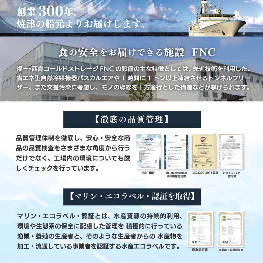 マグロ 刺身 訳あり 赤身 年末 年始 ごちそう 冷凍マグロ 天然南まぐろ天身500g　筋少なめ