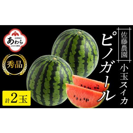 ふるさと納税 小玉スイカ ピノガール 2玉（計3.6kg〜6kg）／福井県 あわら市 フルーツ 夏 果物 西瓜  秀品 農家直送 有機肥料 低.. 福井県あわら市