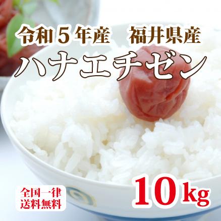 令和５年産 福井県産ハナエチゼン 10kg 白米 安い 5kg×2 ブランド米 単 ...