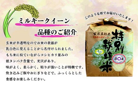 No.073 野田産黒酢米ミルキークイーン 2kg