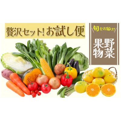 ふるさと納税 南伊豆町 湯の花　旬の野菜と果物セット