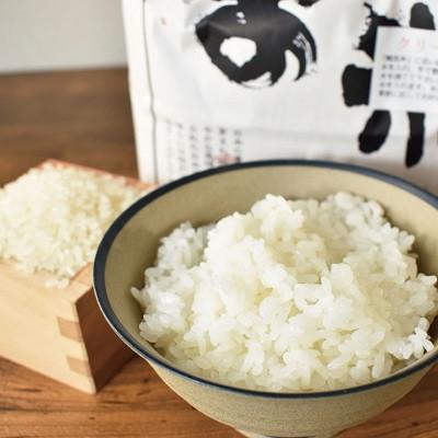 ふるさと納税 京丹波町 「京丹波ほたるの里」のこしひかり　令和5年産　2kg×5袋(総量10kg)