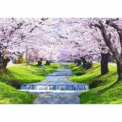 絵画風 壁紙ポスター （はがせるシール式） -地球の撮り方- 流れ落ちる段々の川と桜の絶景、猪苗代町の観音寺川の桜並木 日本の絶景 キャラク