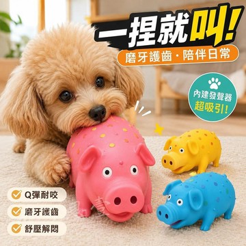 台灣出貨 乳膠怪叫豬狗狗玩具 加大17.5公分怪叫豬 狗狗發聲玩偶 耐咬發聲 磨牙刺豬 搪膠互動球 寵物解悶 寵物玩偶