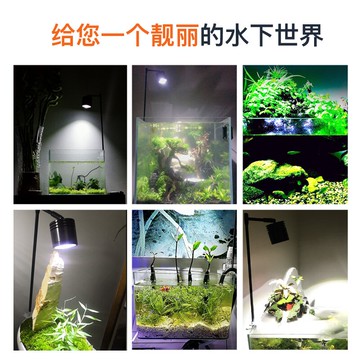 魚缸led全光譜水草燈專業造景照明燈吊燈小型筒燈草缸燈夾燈防水 台灣樂天市場 Line購物