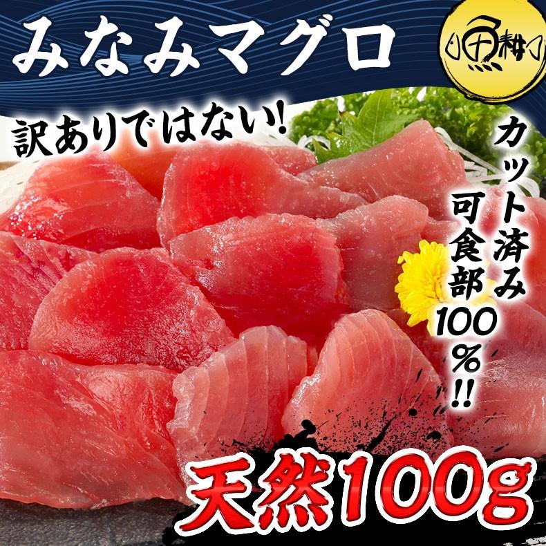 まぐろ マグロ刺身 天然みなみマグロ 赤身 100g カット済み 血合い処理済み可食部100％ 鮪 プレゼント お歳暮 2023 ギフト