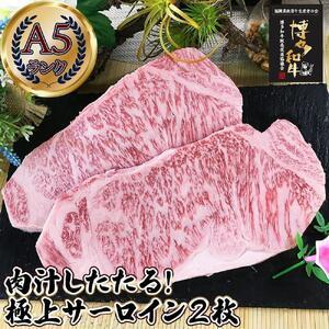 ふるさと納税 肉汁したたる 極上 サーロインステーキ２枚 (合計500g) 博多和牛A5ランク 福岡県福岡市