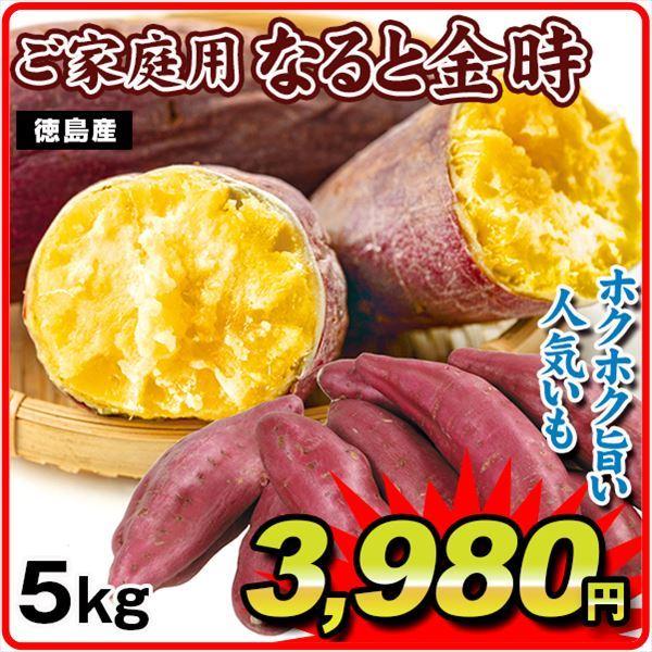 さつまいも 5kg 徳島産 ご家庭用 なると金時 送料無料 食品