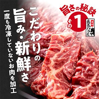 ふるさと納税 泉佐野市 牛ハラミ 1.2kg タレ漬け 秘伝の赤タレ 小分け 300g×4 全3回