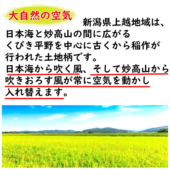 令和５年産　新潟県上越産　特別栽培米　新之助　精米５kg入