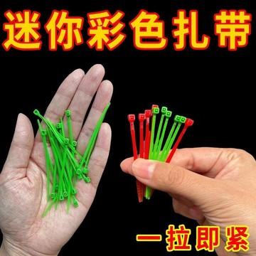 🔥臺灣出貨🔥小號尼龍紮帶小紮帶綁帶收緊器塑料捆綁2.8*100mm彩色10公分釐米 3EJ4