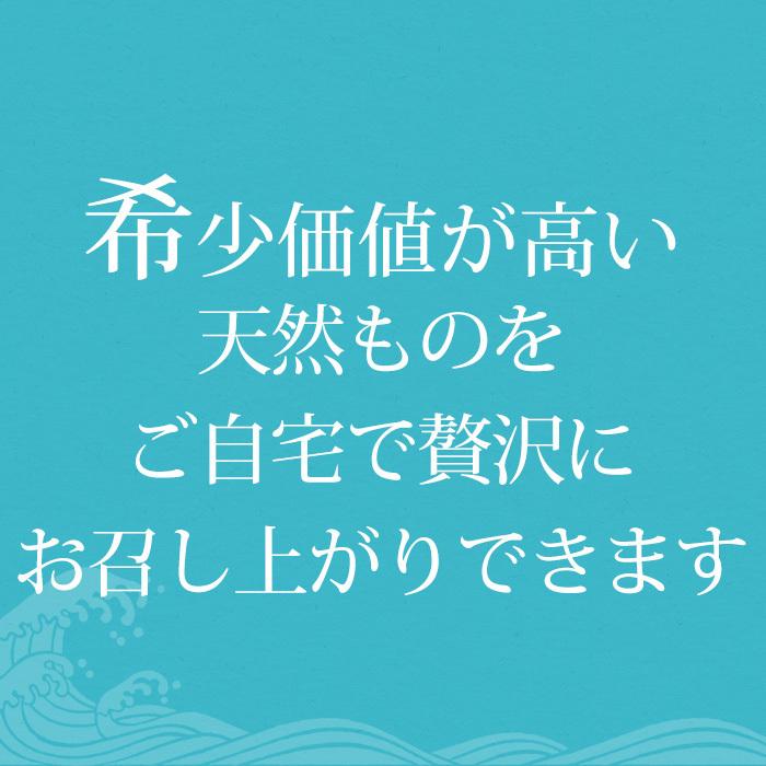 マグロ 天然メバチマグロ 天身（特上赤身） 2柵セット（約120g〜150g 1柵） 3〜4人前