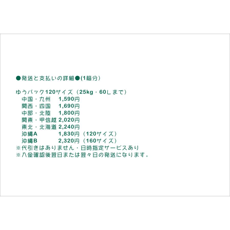 BIGHORN ヘラクレスリッキー初〜２令幼虫 単品 コサンガorサンタンデール産 外国産クワガタムシ