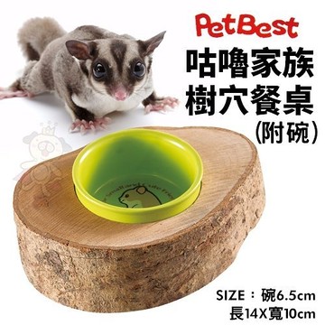 ＊WANG＊PetBest 咕嚕家族-樹穴餐桌(附碗)．倉鼠 黃金鼠 蜜袋鼯適用．鼠餐桌