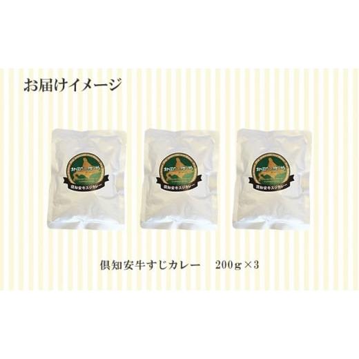 ふるさと納税 北海道 倶知安町 先行受付倶知安 牛すじカレー 北海道 計3個 中辛 レトルト食品 加工品 牛すじ 牛肉 野菜 じゃがいも …