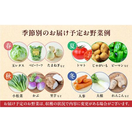 ふるさと納税 新米 有機米 2kg 旬の野菜 5種セット 詰め合わせ 野菜詰め合わせ 熊本県産有機野菜 山都町産有機野菜 産地直.. 熊本県山都町