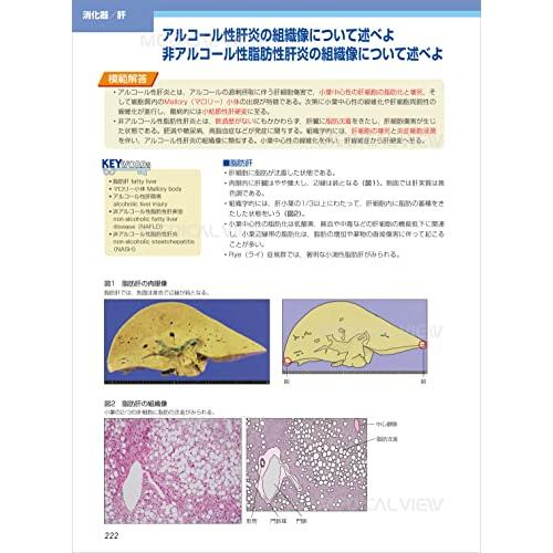 病理学 (カラーイラストで学ぶ 集中講義)