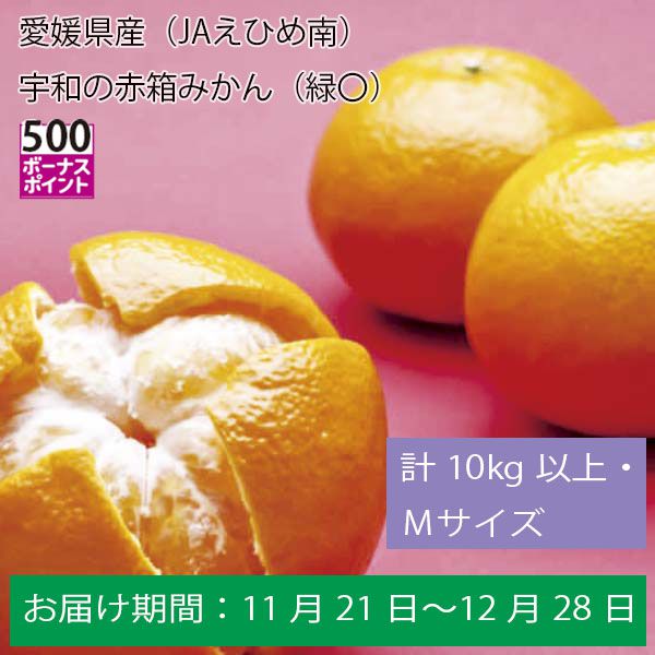 愛媛県産（JAえひめ南）宇和の赤箱みかん（緑〇）計１０Kg以上・Ｍサイズ