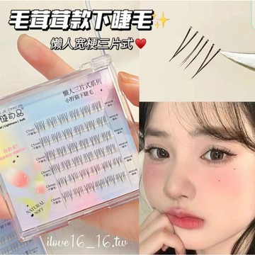 【台灣隔日到貨🛫】小紅書新品三片式下睫毛假睫毛女自然仿真睫毛懶人單簇眼睫毛日常裝