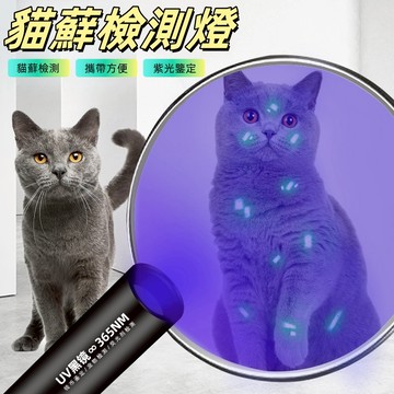 紫外線手電筒 伍德氏燈 UV手電筒 365nm紫光手電筒 貓蘚寵物真菌檢測燈 紫光驗鈔燈 紫外線燈 紫光燈 螢光劑