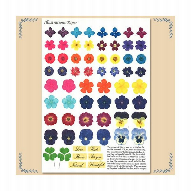 粘土 副資材 デザインペーパー イラストペーパー 押し花 通販 Lineポイント最大0 5 Get Lineショッピング