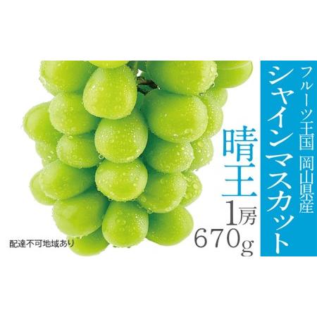 ふるさと納税 ぶどう 2024年 先行予約 シャイン マスカット 晴王 1房 約670g 晴れの国 おかやま 岡山県産 フルーツ王国 果物王国 岡山県瀬戸内市