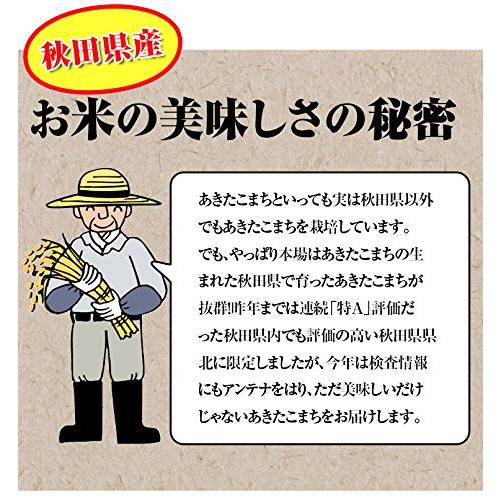 新米 秋田県 無洗米 秋田小町 5kg 令和5年産