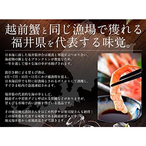 港ダイニングしおそう 越前産 甘エビ 刺身用 子なし 小サイズ 1kg (500g×2箱) 約80〜100尾入り 海鮮 甘えび あまえび 福井 エビ