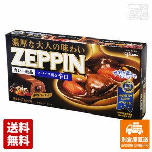 グリコ カレーＺＥＰＰＩＮ 辛口ブラック 175g x10 セット 