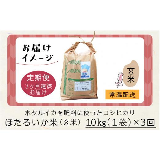 ふるさと納税 富山県 滑川市 ほたるいか米（玄米10kg）×3回 計30kg