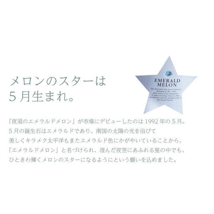 お歳暮 メロン エメラルドメロン A等級 5〜6玉 8kg 高知県産 夜須 めろん お取り寄せグルメ ギフト お取り寄せ