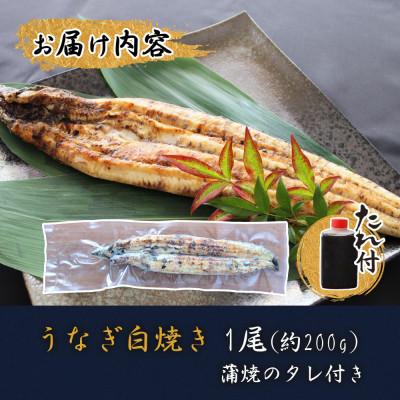 ふるさと納税 美郷町 うなぎ白焼き 1尾(蒲焼タレ付き)