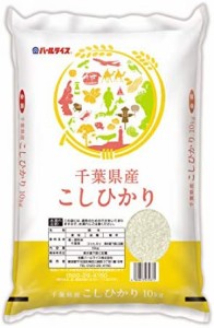 千葉県産 白米 コシヒカリ 10kg 令和4年産